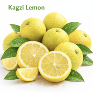 export quality fresh lamon