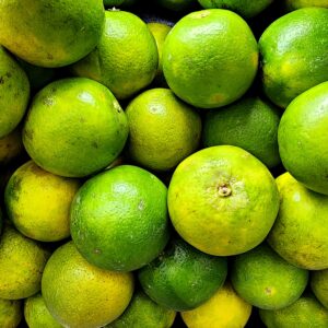 Home export quality mosambi