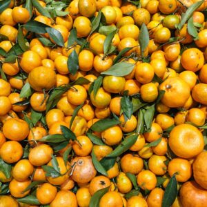 Home export quality orange